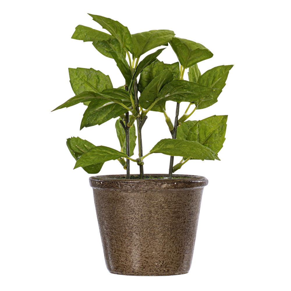 7" Green Potted Herbs Assort 3/pk